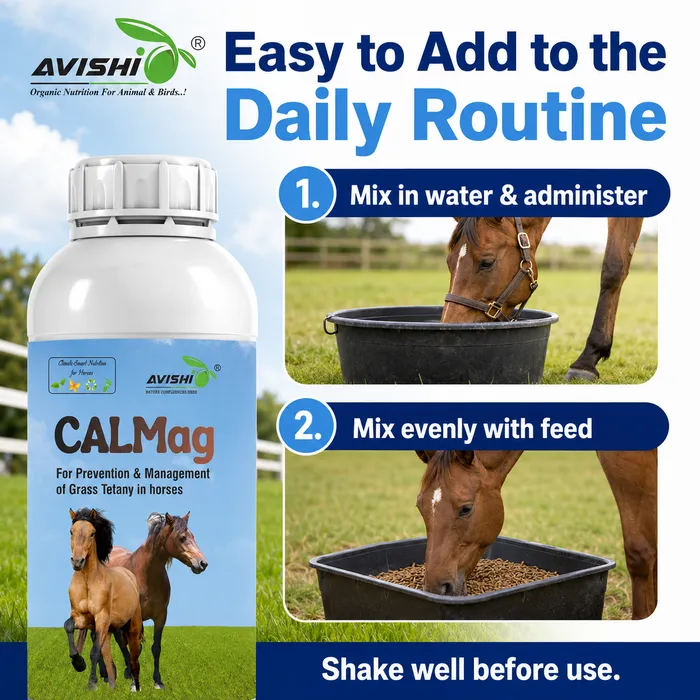 Avishi CalMag (Equine) Clinical Information