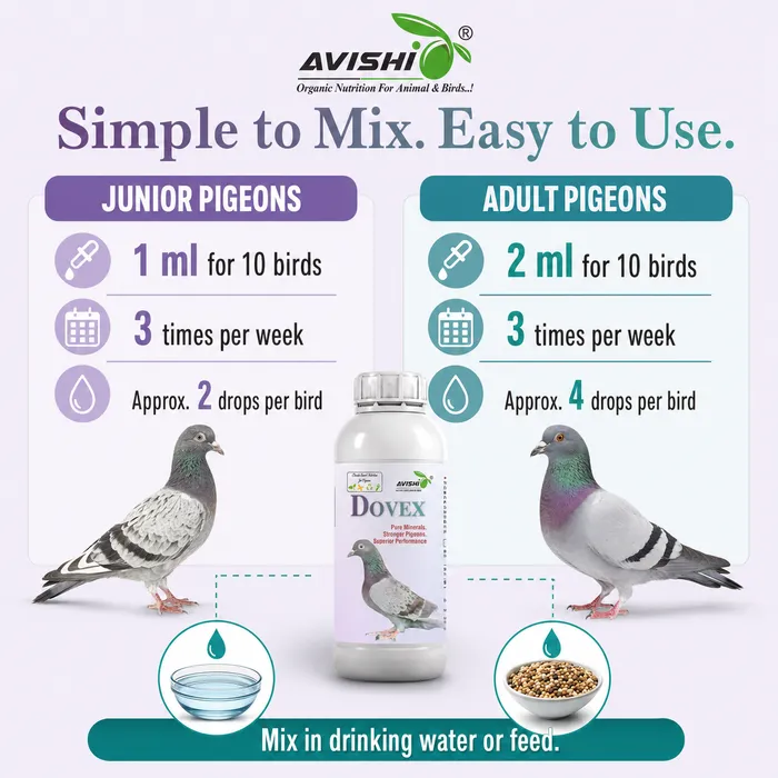 Avishi Dovex Clinical Information