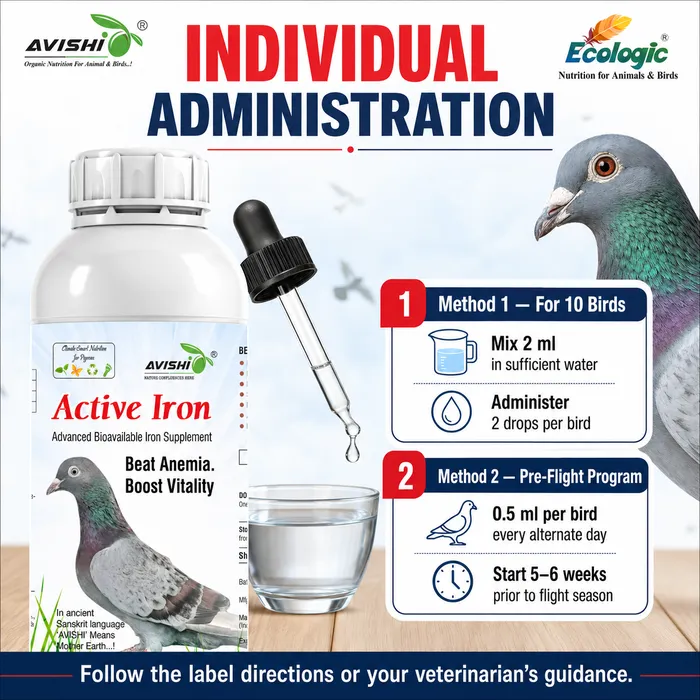 Avishi Active Iron (Pigeon) Clinical Information