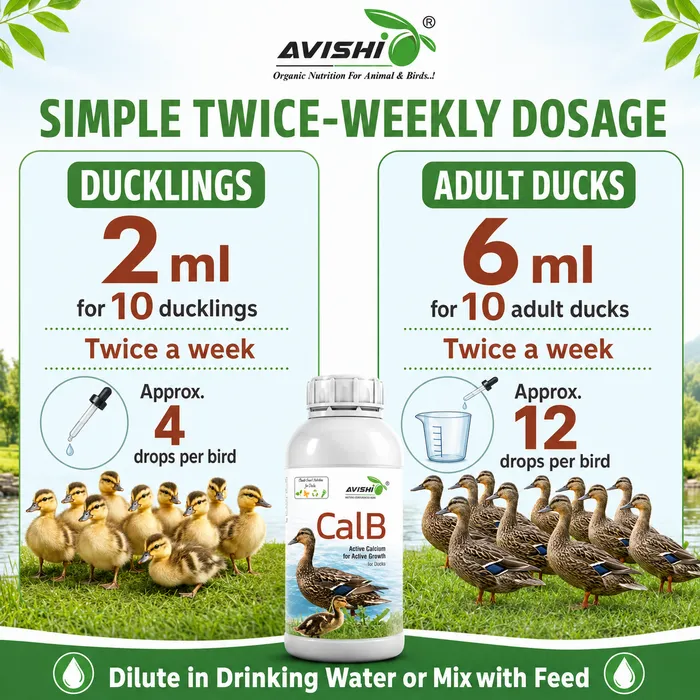 Avishi CalB (Duck) Clinical Information