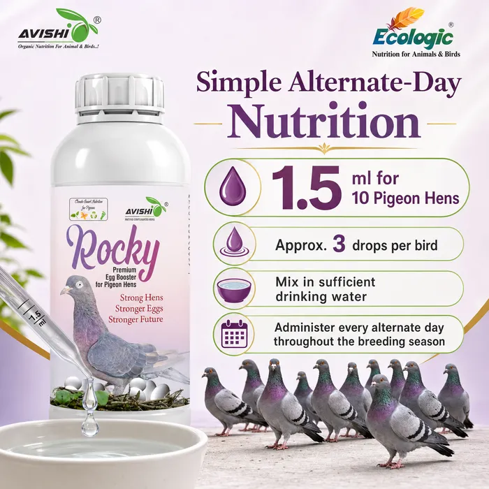 Avishi Rocky Clinical Information