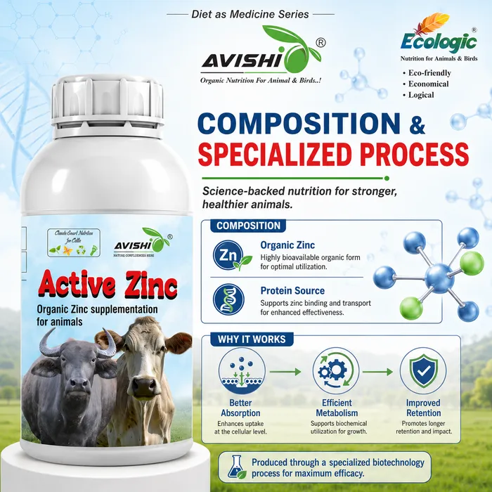 Avishi Active Zinc Clinical Information