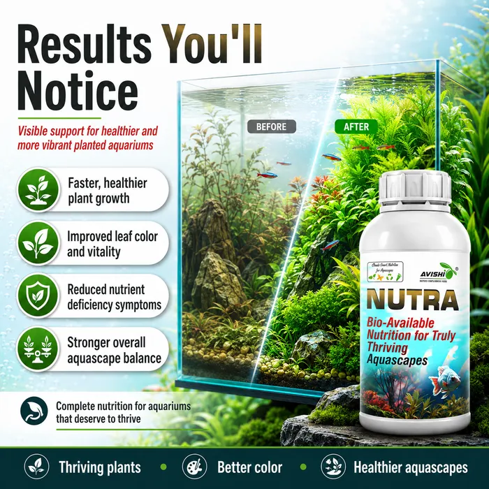 Avishi Nutra Clinical Information