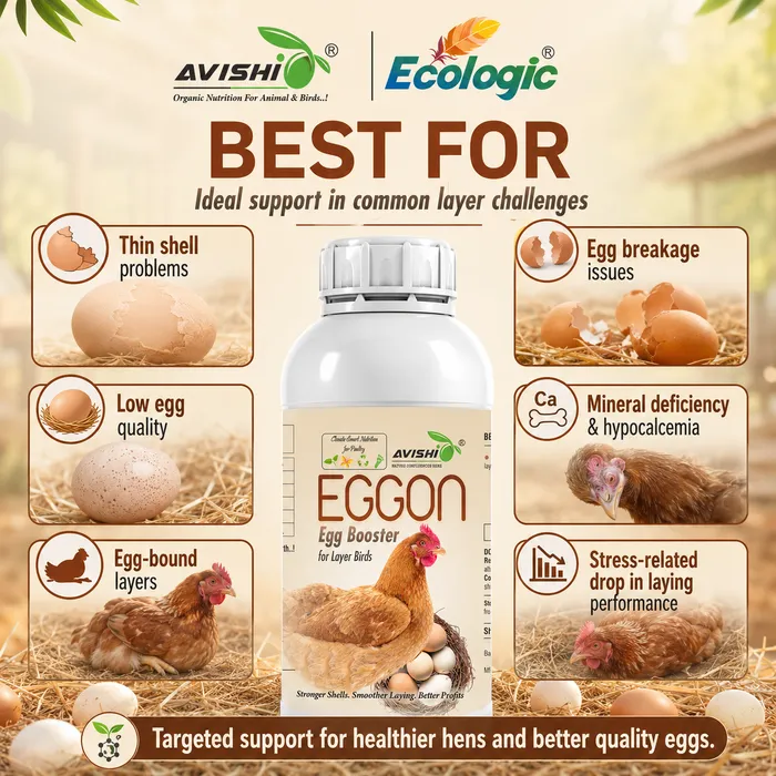 Avishi Eggon Clinical Information