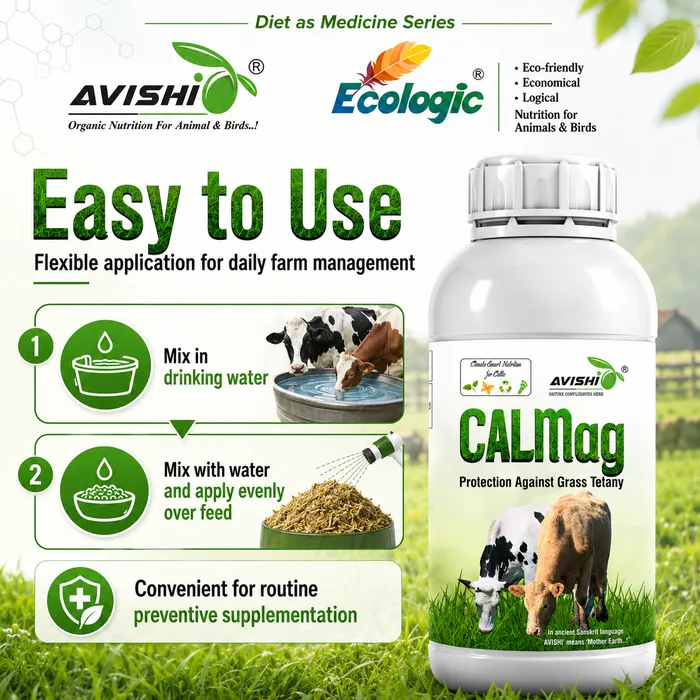 Avishi CalMag (Cattle) Clinical Information