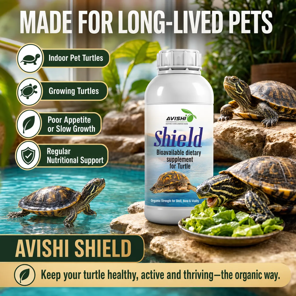 AVISHI SHIELD