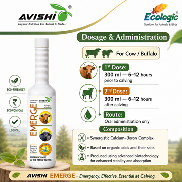 AVISHI EMERGE