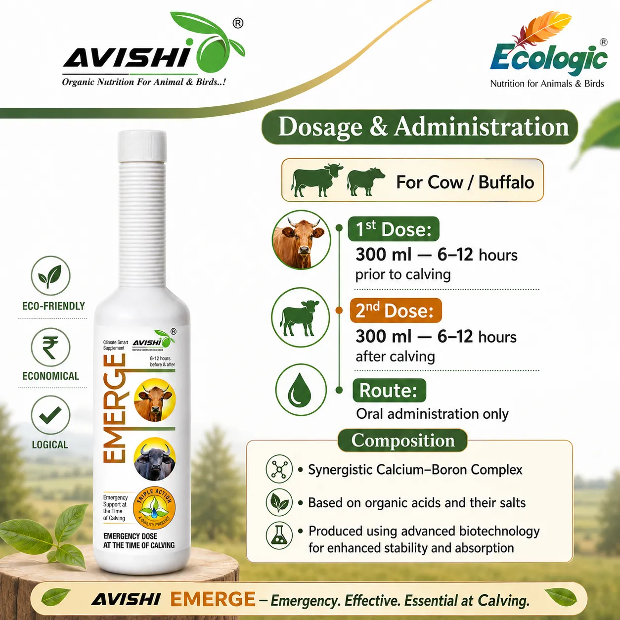 AVISHI EMERGE