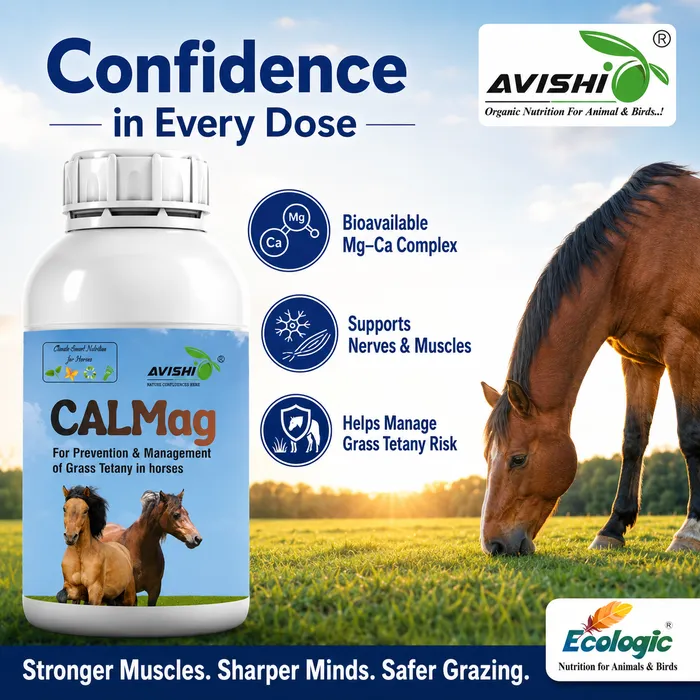 Avishi CalMag (Equine) Clinical Information