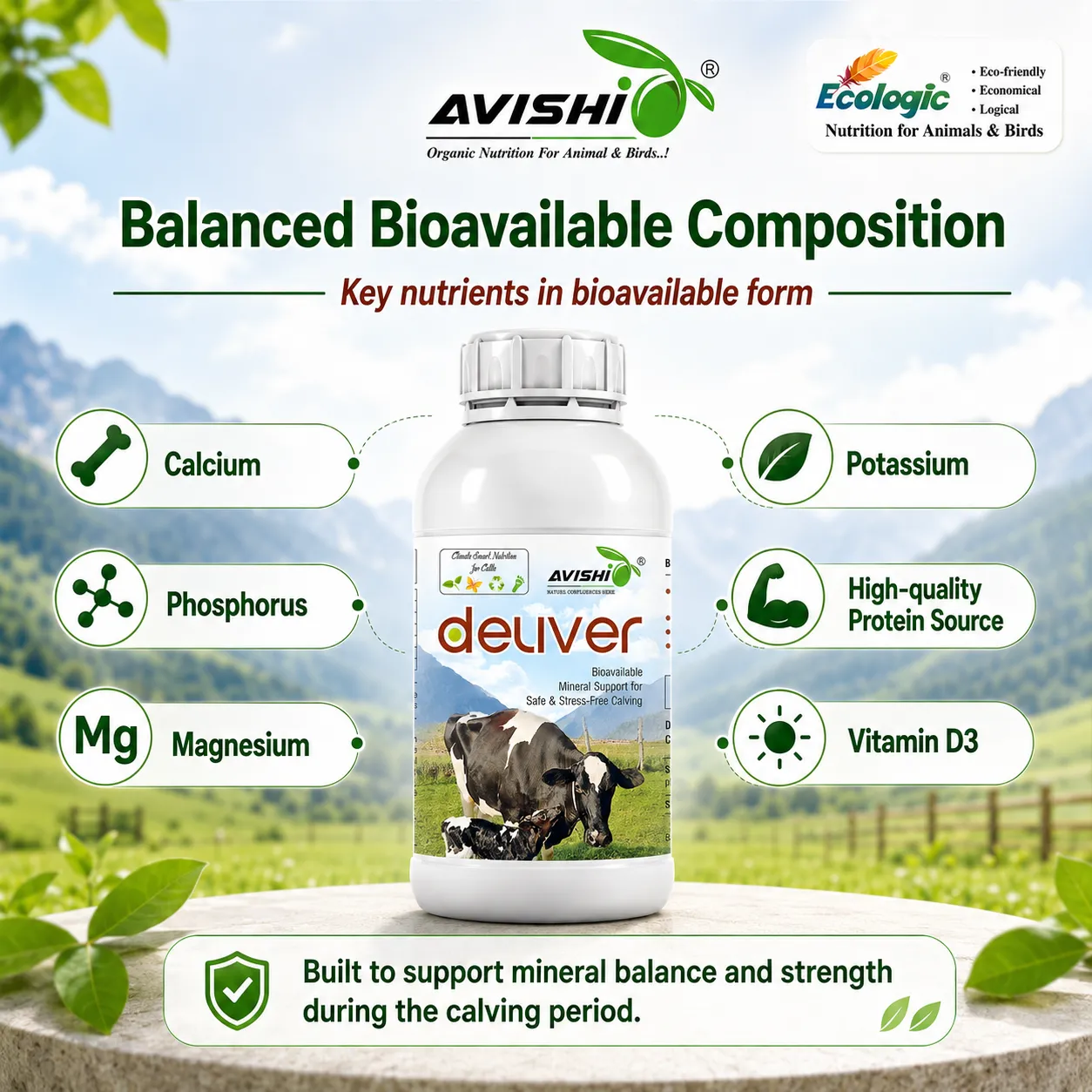 AVISHI DELIVER