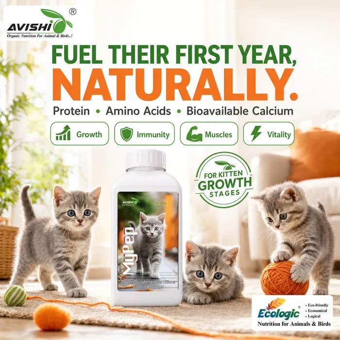 Avishi Mypep Clinical Information
