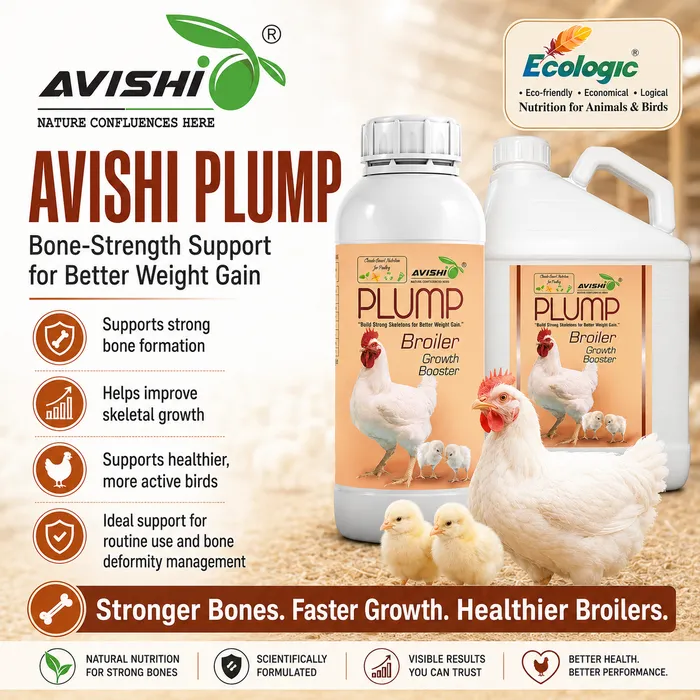 Avishi Plump Clinical Information