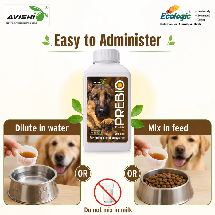 Avishi Prebio (Canine) Clinical Information