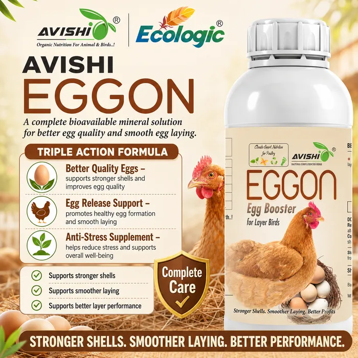 Avishi Eggon Clinical Information