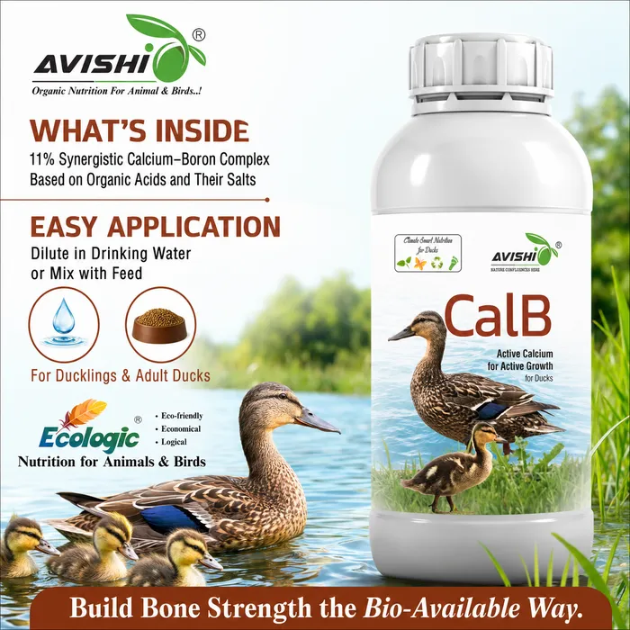 Avishi CalB (Duck) Clinical Information
