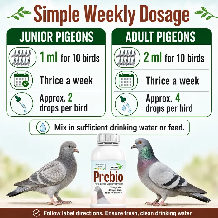 Avishi Prebio (Pigeon) Clinical Information