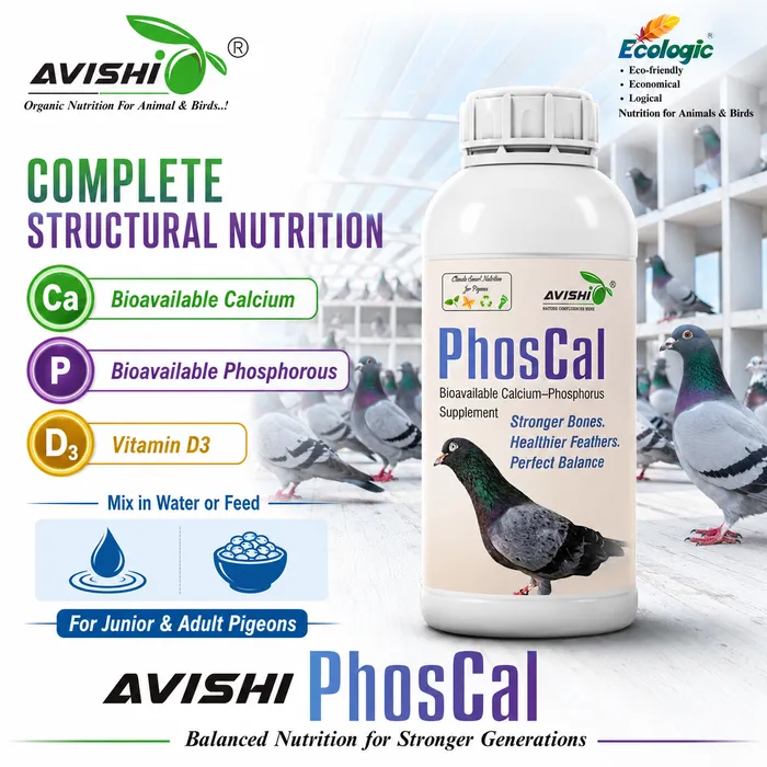 Avishi Phoscal Clinical Information
