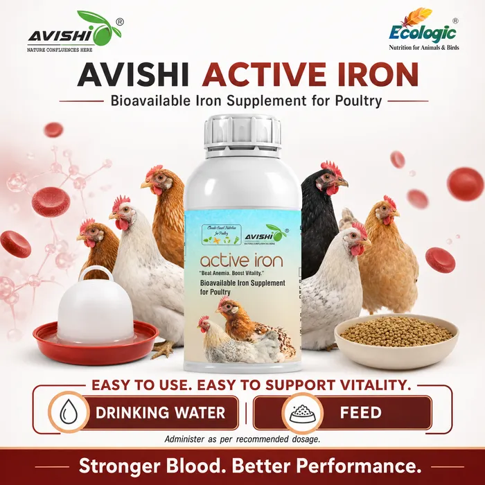 Avishi Active Iron (Poultry) Clinical Information