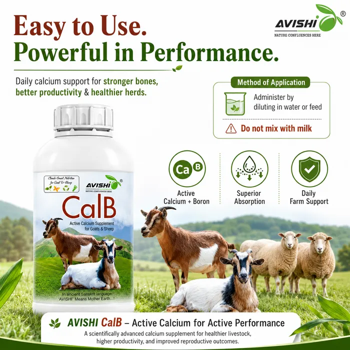 Avishi CalB (Goat & Sheep) Clinical Information