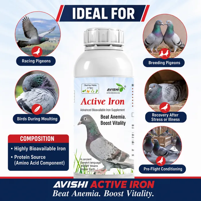Avishi Active Iron (Pigeon) Clinical Information