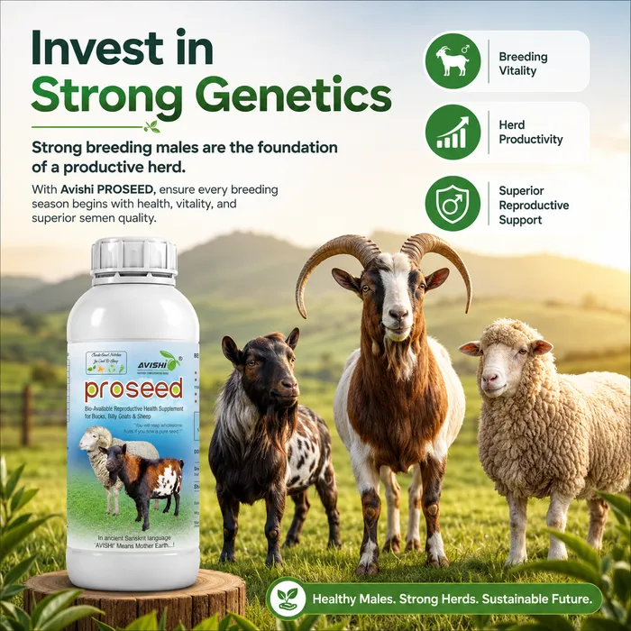 Avishi Proseed (Goat & Sheep) Clinical Information