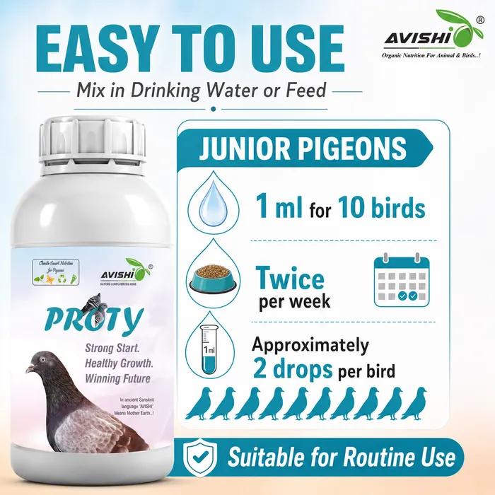 Avishi Proty Clinical Information