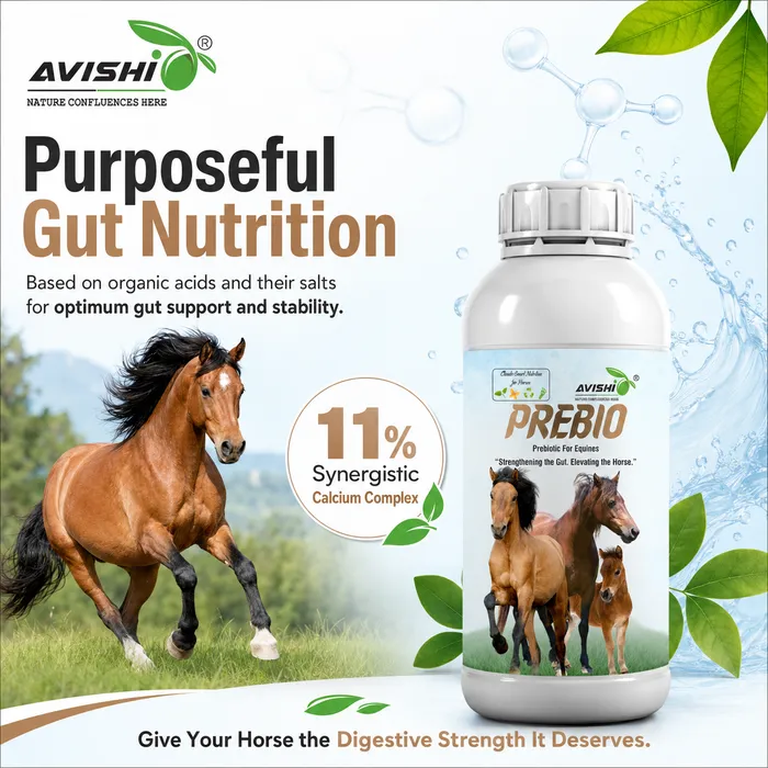Avishi Prebio (Equine) Clinical Information