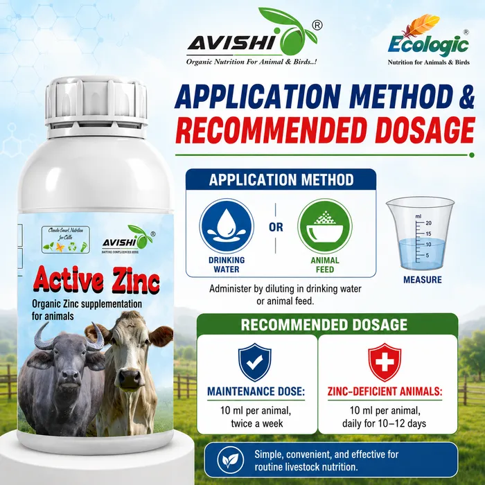 Avishi Active Zinc Clinical Information