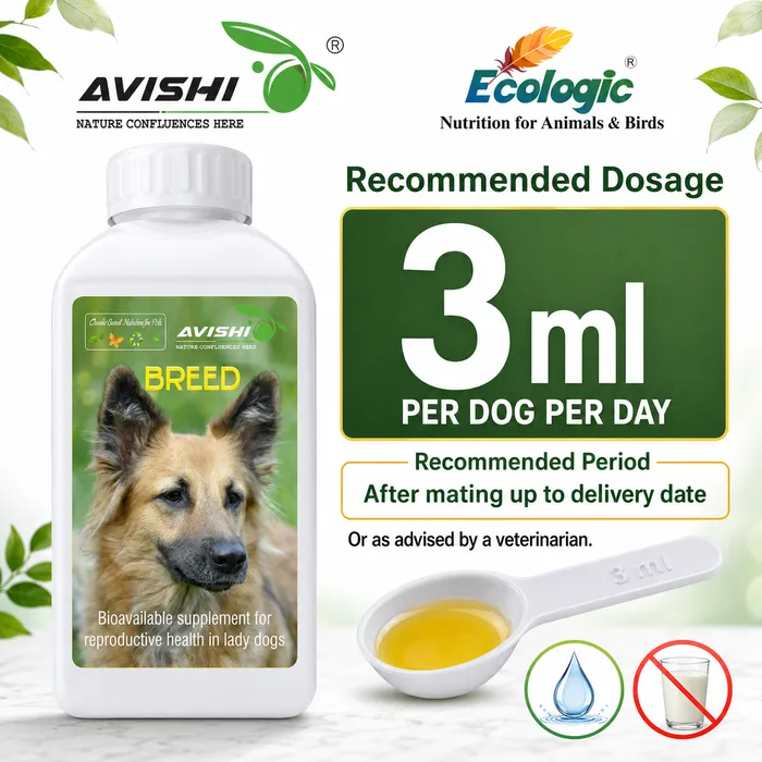 Avishi Breed (Canine) Clinical Information