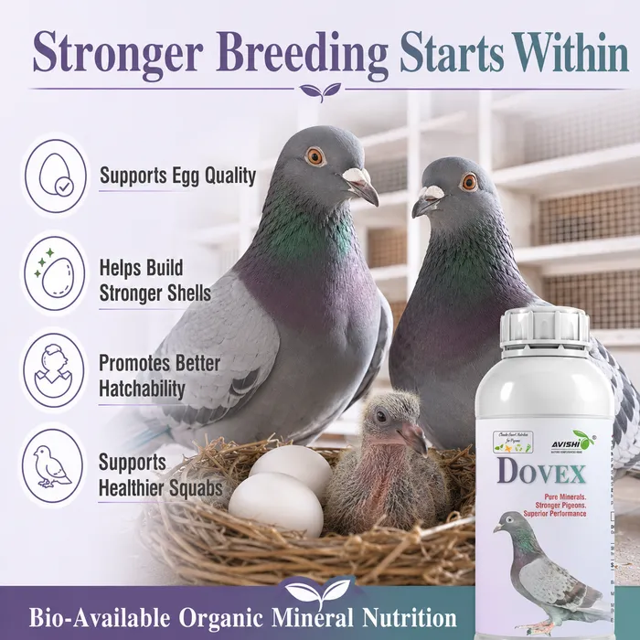 Avishi Dovex Clinical Information