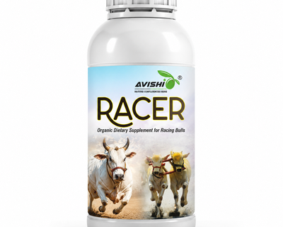 AVISHI RACER