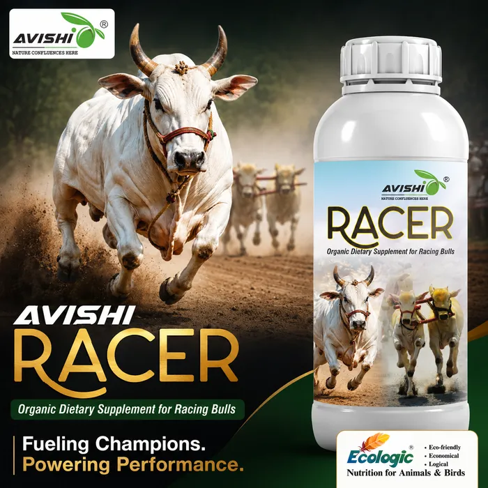 Avishi Racer Clinical Information