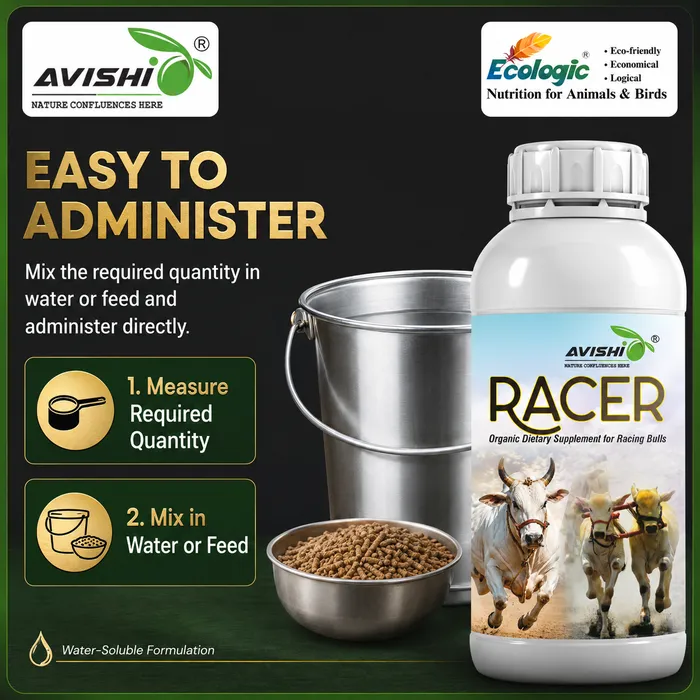 Avishi Racer Clinical Information