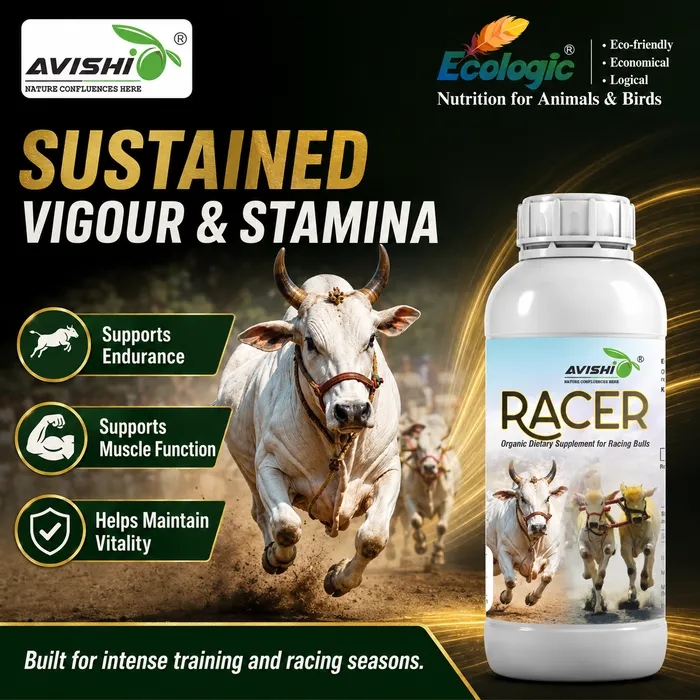 Avishi Racer Clinical Information