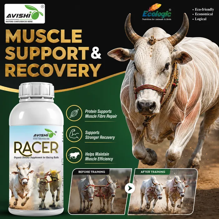Avishi Racer Clinical Information