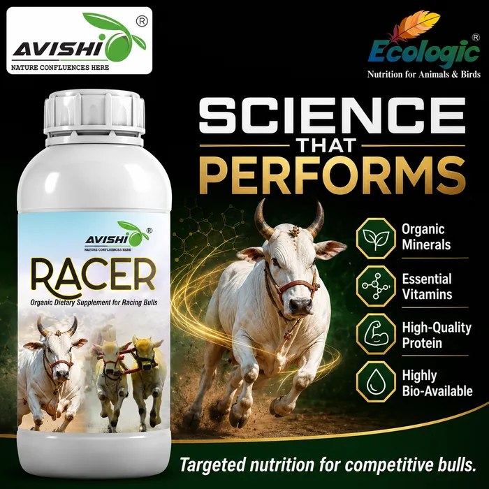 Avishi Racer Clinical Information