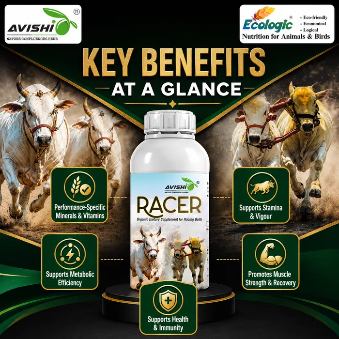 Avishi Racer Clinical Information