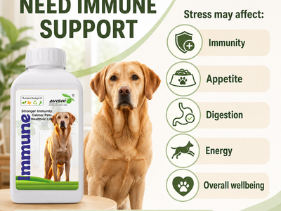 AVISHI IMMUNE