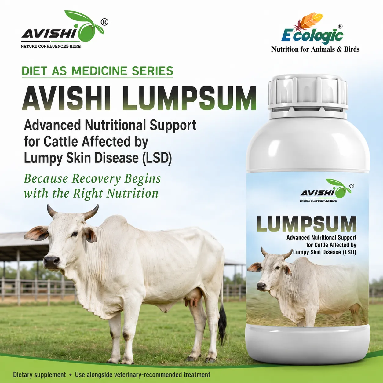 AVISHI LUMPSUM