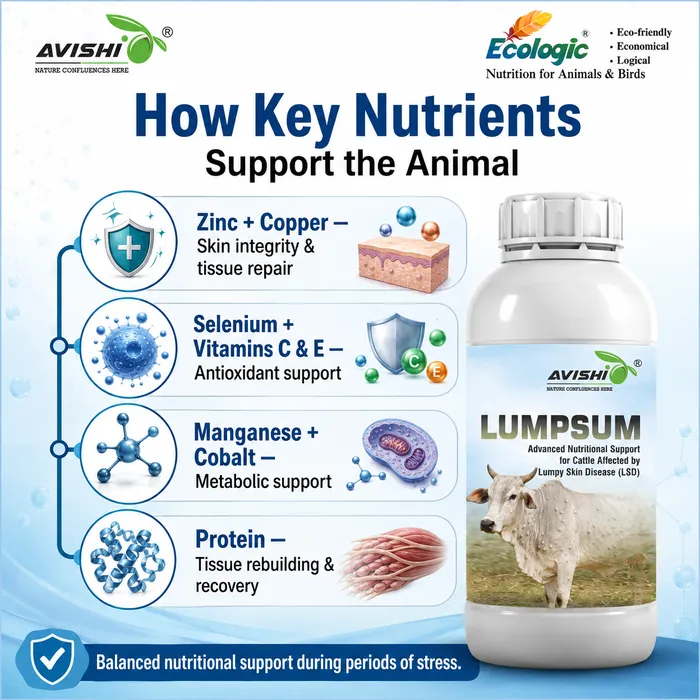 Avishi Lumpsum Clinical Information