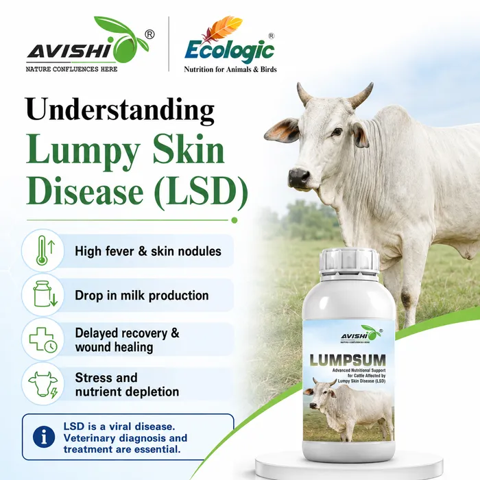 Avishi Lumpsum Clinical Information