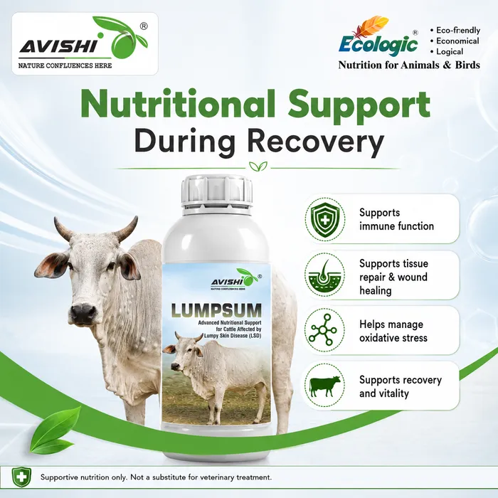 Avishi Lumpsum Clinical Information
