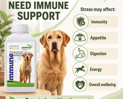 AVISHI IMMUNE