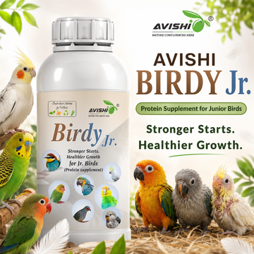 AVISHI BIRDY JR.