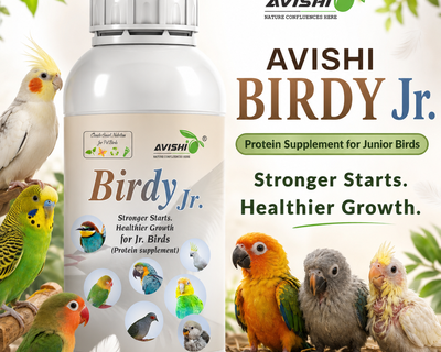 AVISHI BIRDY JR.