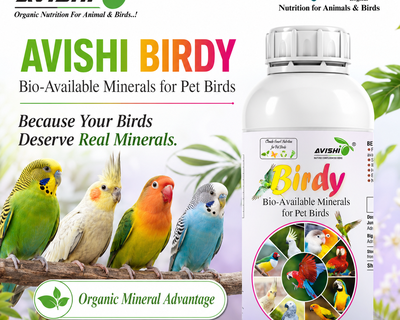 AVISHI BIRDY