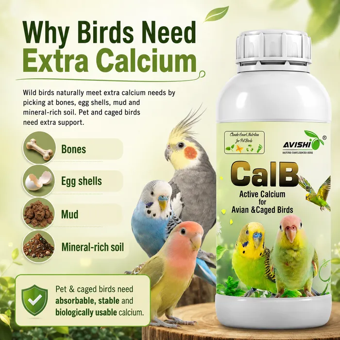 Clinical & Product Infographic (2.png)