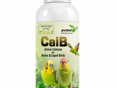 AVISHI CalB