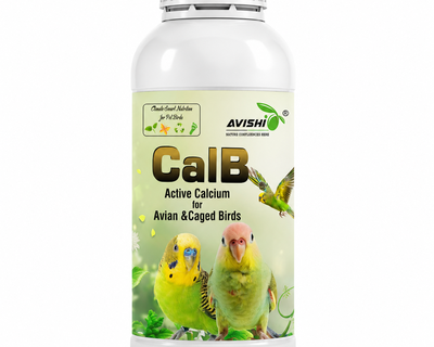AVISHI CalB