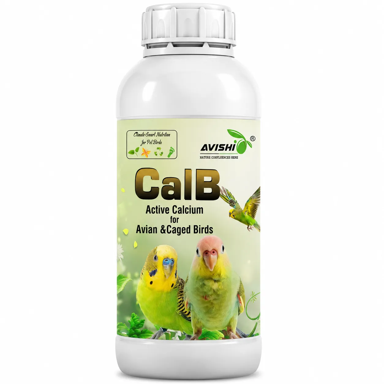 AVISHI CalB